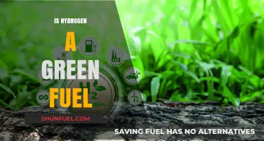 Hydrogen Fuel: Green Energy Solution or Environmental Myth?