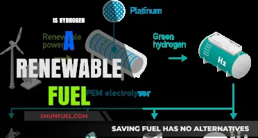 Hydrogen Fuel: A Sustainable, Renewable Energy Solution for the Future?