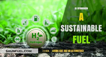 Hydrogen Fuel: A Sustainable Energy Solution or Green Mirage?
