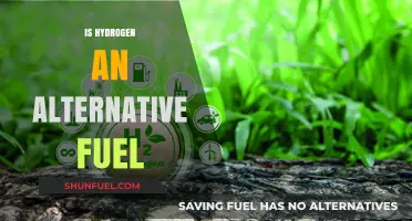 Hydrogen Fuel: A Viable Alternative for a Sustainable Future?