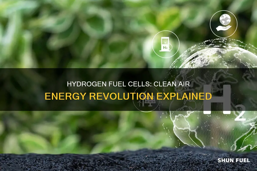 is hydrogen cell fuel air