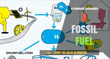 Hydrogen: Fossil Fuel or Clean Energy?