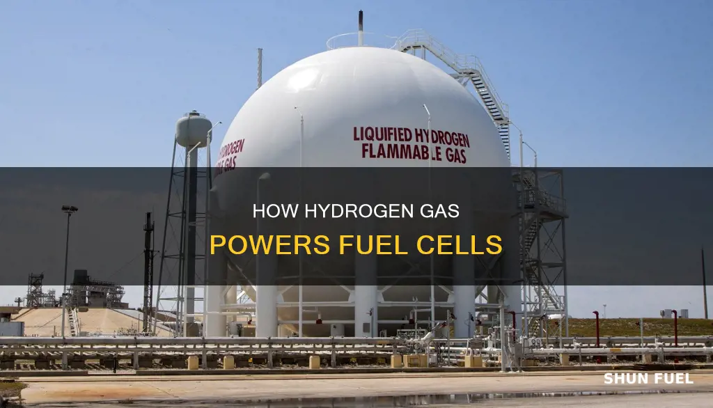 is hydrogen for fuel cells cold high-pressure gas