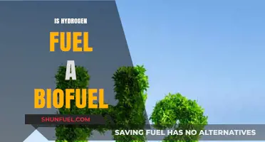 Is Hydrogen Fuel a Biofuel? Exploring the Green Energy Debate