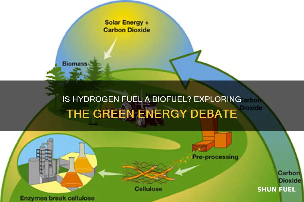 is hydrogen fuel a biofuel