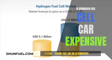 Hydrogen Fuel Cell Cars: Costly Green Revolution?