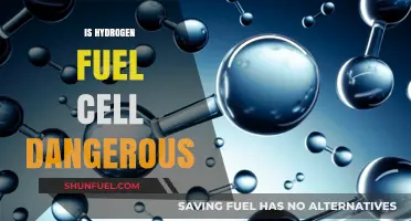 Hydrogen Fuel Cells: Safety Concerns and Real-World Risks Explained