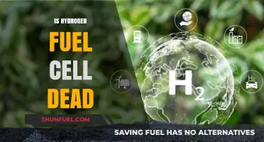 Is Hydrogen Fuel Cell Technology Still Viable in Today's Energy Landscape?