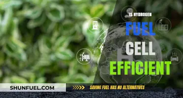 Hydrogen Fuel Cells: Unlocking Efficiency in Clean Energy Solutions