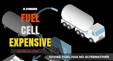 Hydrogen Fuel Cells: Cost Analysis and Economic Viability Explored