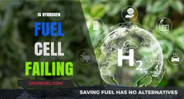 Hydrogen Fuel Cells: Struggling to Meet Expectations or Future Hope?
