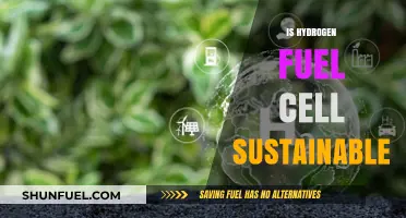 Hydrogen Fuel Cells: A Sustainable Energy Solution or Green Myth?