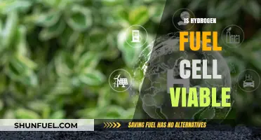 Hydrogen Fuel Cells: A Viable Future Energy Solution or Myth?