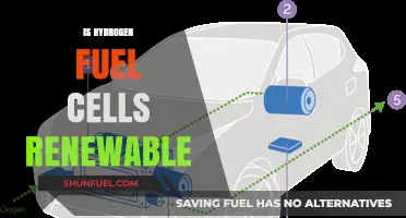 Hydrogen Fuel Cells: A Renewable Energy Solution or Myth?