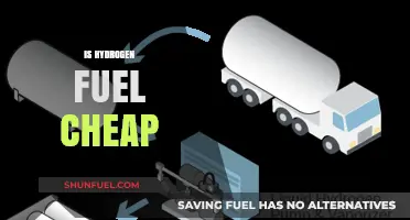Is Hydrogen Fuel Affordable? Cost Analysis and Future Prospects