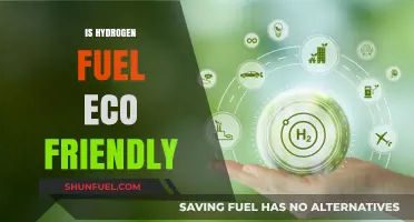 Hydrogen Fuel: Eco-Friendly Solution or Environmental Challenge?