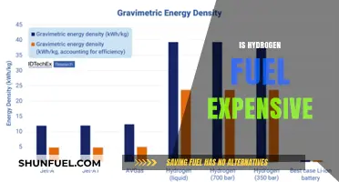 Is Hydrogen Fuel Costly? Exploring the Expense of Clean Energy