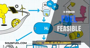 Hydrogen Fuel Feasibility: Challenges, Opportunities, and Future Prospects