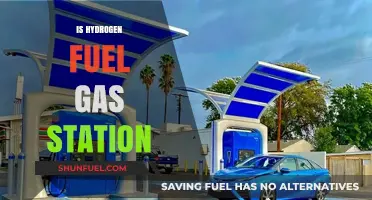 Hydrogen Fuel Gas Stations: The Future of Clean Energy Refueling?