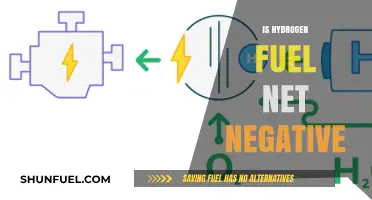 Is Hydrogen Fuel Truly Net Negative? Exploring Emissions and Sustainability