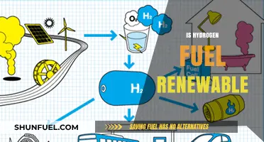 Is Hydrogen Fuel Truly Renewable? Exploring Its Sustainability and Sources