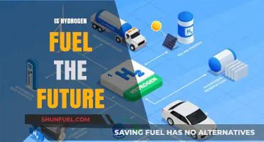 Hydrogen Fuel: The Sustainable Energy Solution for a Greener Future?