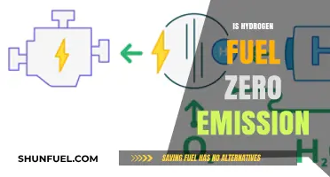 Hydrogen Fuel: Zero-Emission Myth or Sustainable Energy Reality?