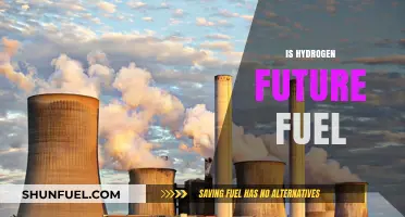 Hydrogen Fuel: The Clean Energy Revolution and Its Future Potential