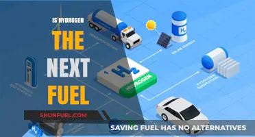 Hydrogen Fuel: The Future of Clean Energy or Just Hype?