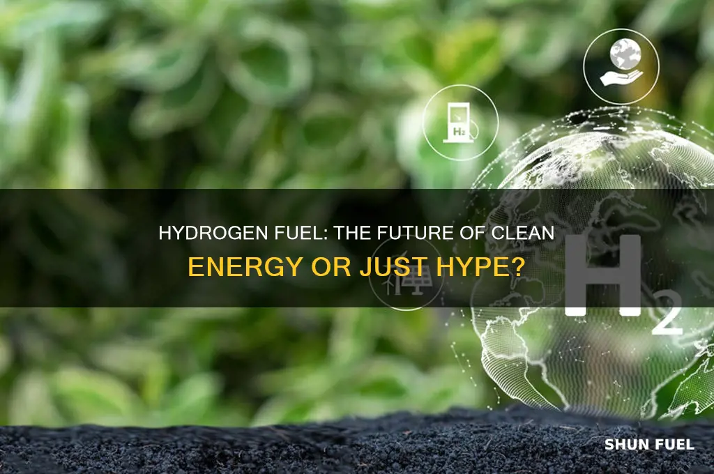 is hydrogen the next fuel
