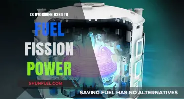 Hydrogen's Role in Fission Power: Fuel or Misconception?