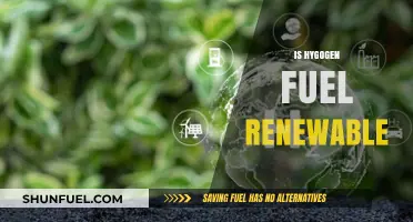 Is Hydrogen Fuel Truly Renewable? Exploring Its Sustainability and Potential