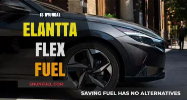 Is the Hyundai Elantra Flex Fuel Compatible? A Comprehensive Guide