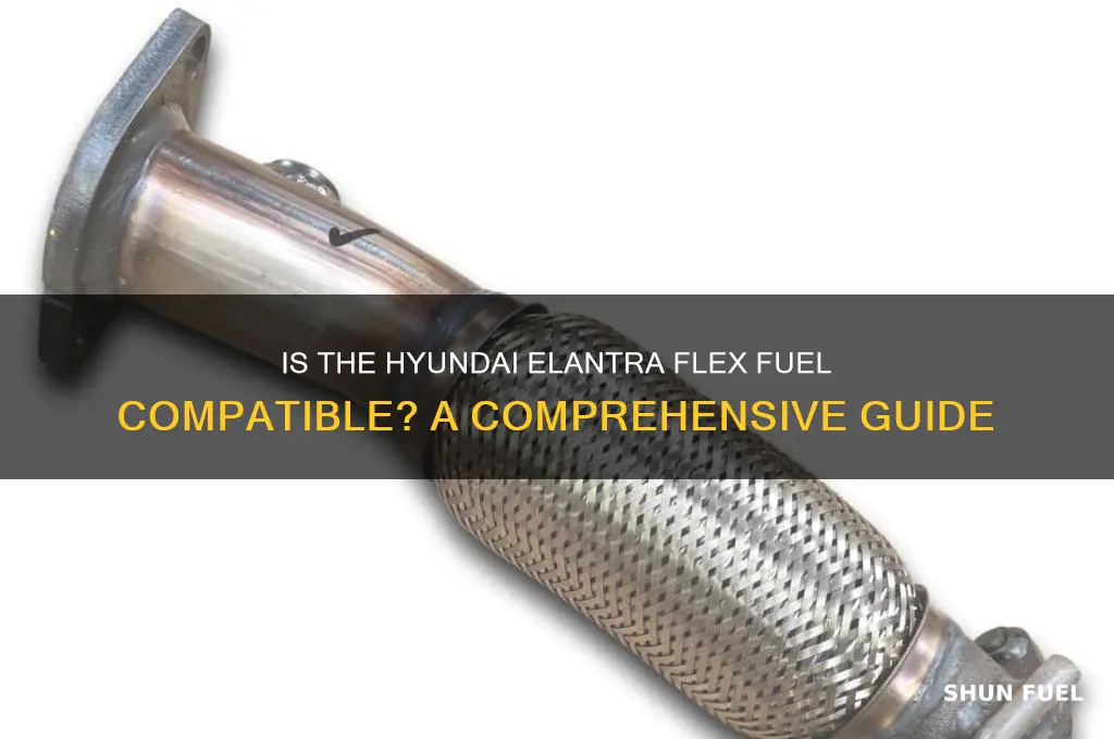 is hyundai elantta flex fuel