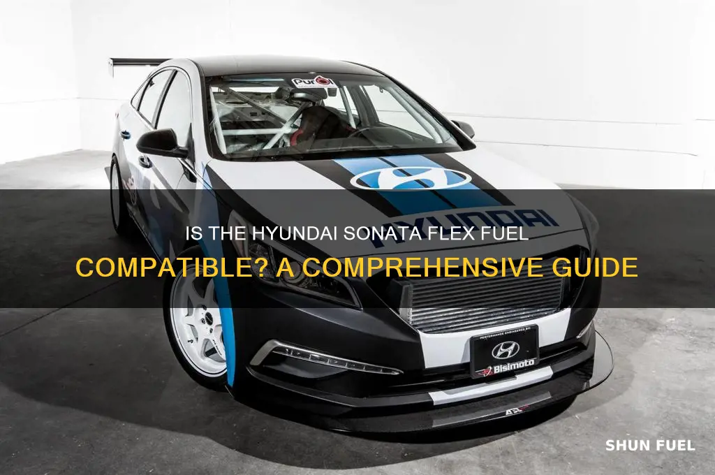 is hyundai sonata flex fuel