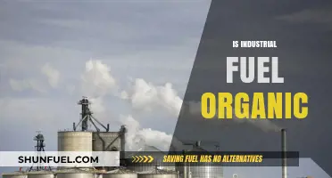 Is Industrial Fuel Organic? Exploring the Sources and Sustainability