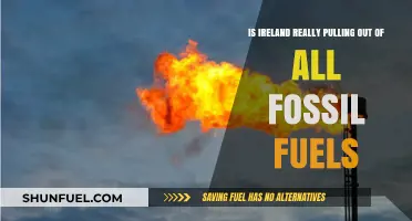 Ireland's Fossil Fuel Future: In or Out?