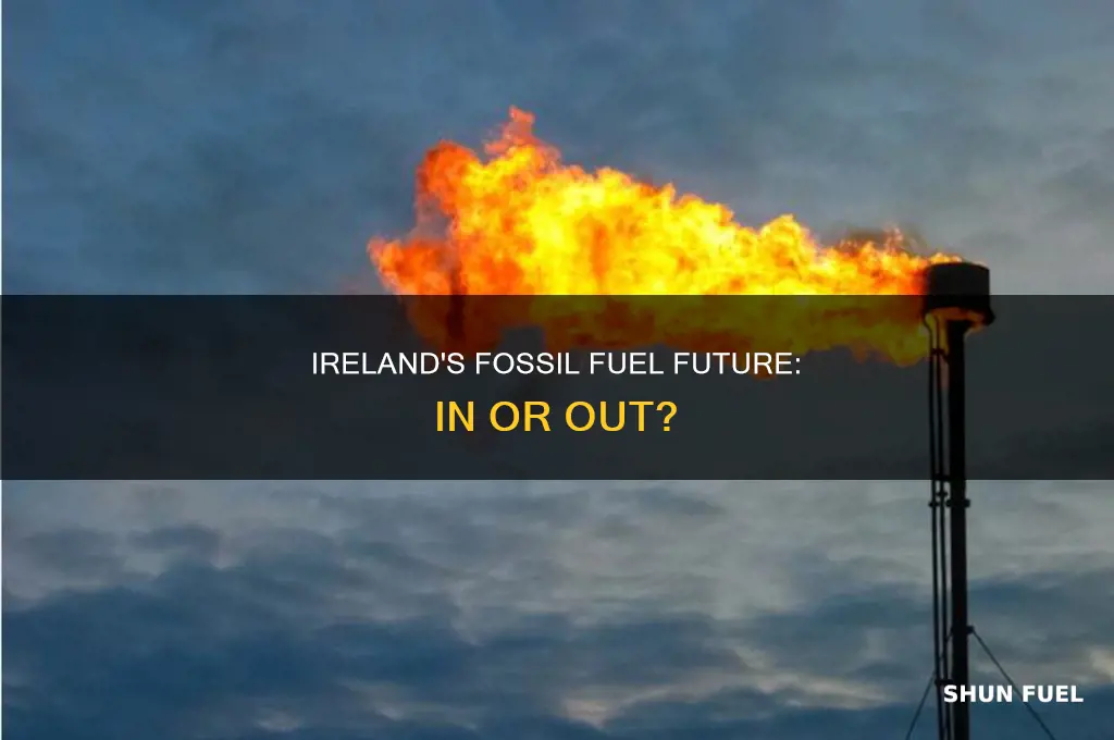 is ireland really pulling out of all fossil fuels