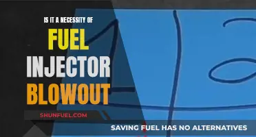 Fuel Injector Blowout: Necessary Maintenance or Avoidable Expense?