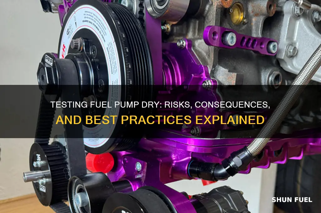 is it bad to test fuel pump dry