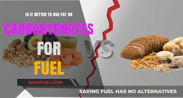 Fat vs. Carbs: Which Fuel Source Powers Your Body Best?