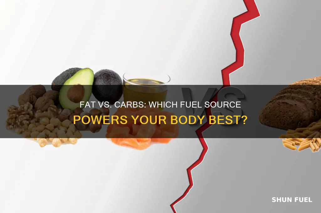 is it better to use fat or carbohydrates for fuel