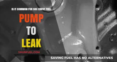 Is Your SBC Chevy Fuel Pump Leaking? Common Issues Explained