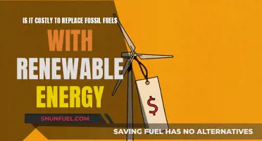 Renewable Energy: Costly Transition from Fossil Fuels?