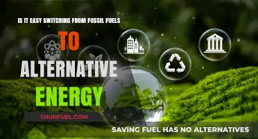 Switching Energy Sources: Easy or Not?