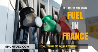 Finding Diesel in France: An Easy Task?