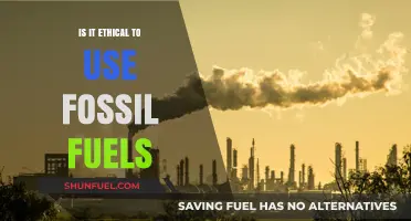 The Moral Dilemma of Fossil Fuel Usage