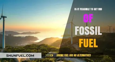 The World Beyond Fossil Fuels: A Feasible Dream?