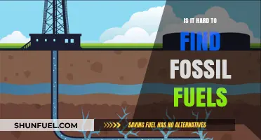 Where to Find Fossil Fuels? A Challenging Quest