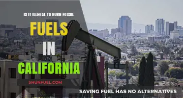 Burning Fossil Fuels: California's Legal Landscape